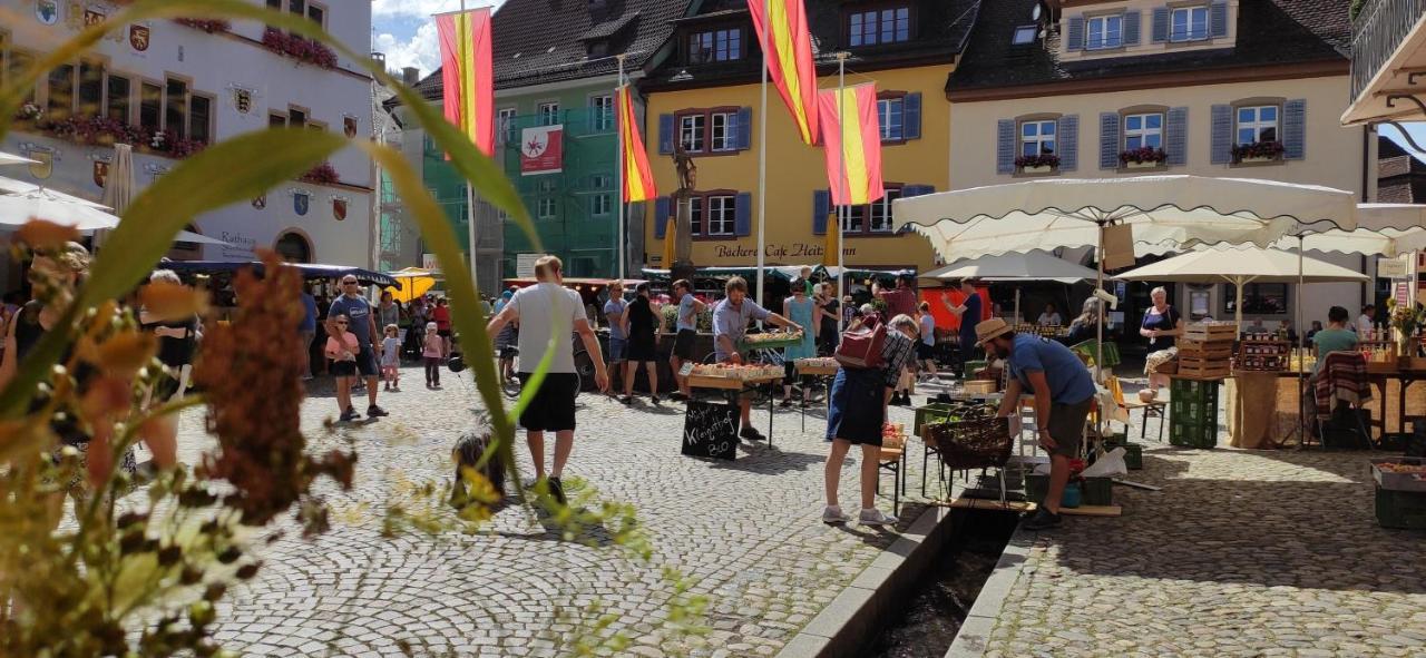 Ferienwohnung Belchenblick Staufen im Breisgau Ngoại thất bức ảnh